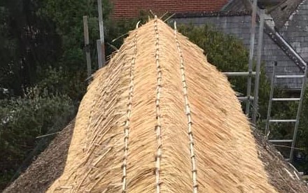 Thatching a new ridge in the New Forest
